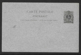 Carte Postale Nr 13   5C  Grijsgroen - Postcards [1871-09]