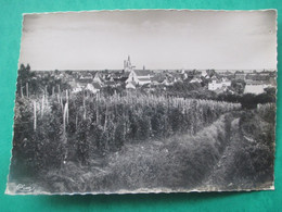 Carte Photo  ROUFFACH - Vue Générale Et Les Vignobles - Rouffach