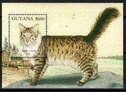 Guyane Cats Chats MNH - Altri & Non Classificati
