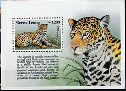 Sierra Leone Wild Cats Chats Sauvages Léopard MNH - Andere & Zonder Classificatie