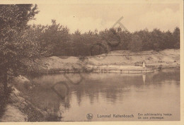 Postkaart-Carte Postale - LOMMEL - Kattenbosch     (C186) - Lommel