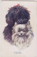 ILLUSTRATEUR WUYTS - LA GENT CANINE-FANTAISIES TRICHROMES A. NOYER- UN BON MENAGE-A GOOD MATCH-2 Chiens 1 Noir & 1 Blanc - Wuyts