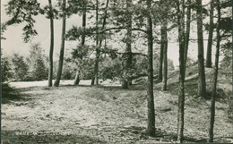 Echtfotokarte Im Kleinformat - Niederlande, ERMELO, Boschezioht - Ermelo