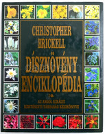 Christopher Brickell: Dísznövény Enciklopédia. Az Angol Királyi Kertészeti Társaság Kézikönyve. Szerk.: Jane Aspden/Szár - Zonder Classificatie