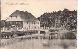 Berlin RAHNSDORF Am Mühlenteich Idylle Mit Schwan Dahinter Die Wassermühle 1918 - Köpenick