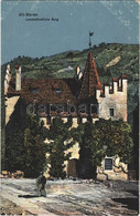 ** T1/T2 Merano, Alt-Meran (Südtirol); Landesfürstliche Burg / Castle. Joh. F. Amonn - Sin Clasificación