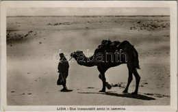 ** T2/T3 Libia, Due Inseparabili Amici In Cammino / Libyan Folklore, Camel. Fot. La Commare (EK) - Sin Clasificación