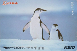 Carte Prépayée JAPON - ANIMAL -  MANCHOT à Jugulaire & Petit - CHINSTRAP PENGUIN BIRD JAPAN Prepaid Keio Card BE 5313 - Pinguine