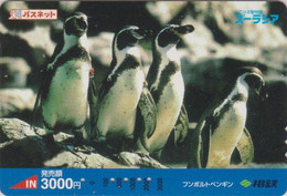 Carte Prépayée JAPON - ANIMAL - MANCHOT De HUMBOLDT - Pingouin - PENGUIN BIRD JAPAN Prepaid Sotetsu Card - 5316 - Pingouins & Manchots