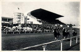 Hippisme - Hippodrome Wellington Ostende (Oostende) - Arrivée Devant Les Tribunes - Edition Ern. Thill - Carte Nels - Hippisme