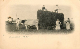 Pyrénées * Attelage De Boeufs * Fenaison Moisson * Scène Agricole Agriculture * Cpa Dos 1900 - Other & Unclassified