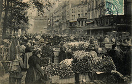 Paris 1er * 1905 * Les Halles * Carreau Des Fleurs * Marchands Fleuristes Marché - District 01