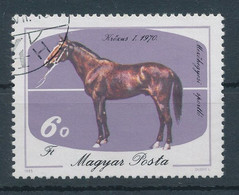 1985. The Horse-breeding In Mezőhegyes Is 200 Years Old - Misprint - Errors, Freaks & Oddities (EFO)