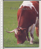 La Ferrandaise Vache Race Auvergnate Agriculture Elevage Animal Auvergne - Tiere