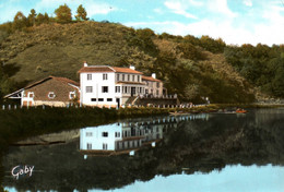 85 / CHANTONNAY / AU PARADIS DES PECHEURS / HOTEL RESTAURANT DU MOULIN NEUF / TRES JOLIE CARTE COLORISEE / 1964 - Chantonnay