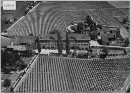 Flugaufnahme Maienfeld GR Schloss Salenegg - Maienfeld