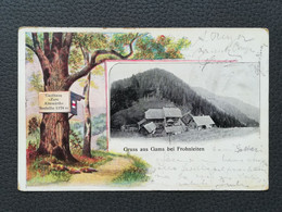 GRUSS Aus GAMS BEI FROHNLEITEN, AUSTRIA, Old Postcards Traveled 1900`s  (A1) - Frohnleiten