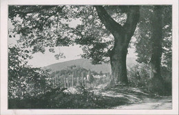 Alte Echtfotokarte, Kleinformat, BADENWEILER, Bei Den Tennisplätzen - Badenweiler