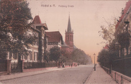 Höchst A. M. Feldberg-Strasse (1919, Cachet TRESOR ET POSTES) - Höchst