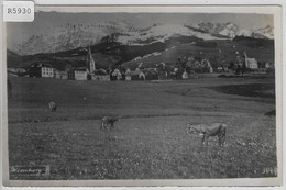 Höhenkurort Hemberg Toggenburg Kühe Vaches Cows - Hemberg