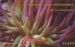 STVINCENT : 142C 20 Giant Sea Anemone USED - St. Vincent & The Grenadines