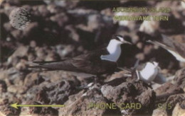 ASCENCION : 003D WIDEAWAKE TERN L.25 USED - Ascension (Ile De L')