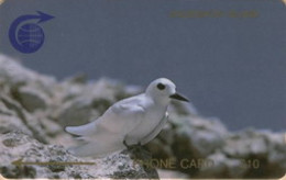 ASCENCION : 003B FAIRY TERN  L.10 USED - Ascension (Ile De L')