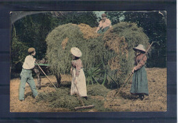 Au Foin. Abimé En Haut - Cultures