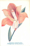 121220A - CARTE PUB PHARMACIE DARRASSE PARIS IVe - Orchidaceae Orchidée - Anguloa Clowesii - CHOLEINE CAMUS Médecine - Publicidad