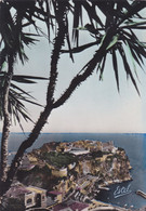 MONACO,CARTE PHOTO - Other & Unclassified