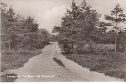 Steenwijk Landgoed De Eese Bos ST427 - Steenwijk