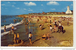 KATWIJK AAN ZEE - Strandleven - Katwijk (aan Zee)