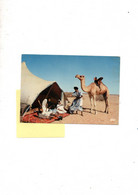 Mauritanie La Vie Sous La Tente Carte Ecrite Le 10/1/1976 - Mauritania