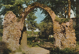 CARTOLINA  LENDINARA,ROVIGO,VENETO,ARCO DEL VECHIO CASTELLO,STORIA,MEMORIA,CULTURA,RELIGIONE,IMPERO,VIAGGIATA 1985 - Rovigo