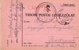 A134  -  TABORI POSTAI LEVELEZOLAP STAMP EGYSITETT  TO BUDAPEST HUNGARY 1WW 1917 - WW1 (I Guerra Mundial)