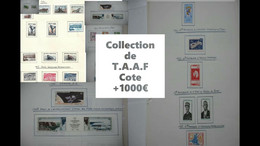 T.A.A.F Une Collection De Neufs* Poste Cote +1000€ - Collections, Lots & Séries