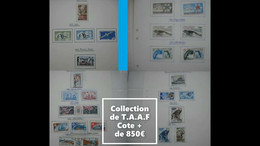 T.A.A.F Une Collection De Neufs* Poste Aérienne Cote + 850€ - Collections, Lots & Séries