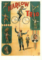 Spectacle, Cirque - Harlow Trio - Reproduction Photo Gregor Heim: Perche, Balance, Aquilibristik 1911 - Zirkus