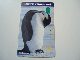 AUSTRALIA  USED CARDS  BIRD BIRDS  PINGUINS - Pinguins