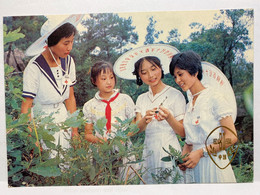 Chinese Red Cross Postcard, Distinguishing Chinese Medicinal Herbs - Croce Rossa