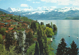 Hilterfingen - Am Thunersee            Ca. 1970 - Hilterfingen