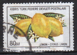 Cyprus Turkey Single 80m Stamp Issued In 1976 As Part Of The Export Products Fruit Set. - Oblitérés