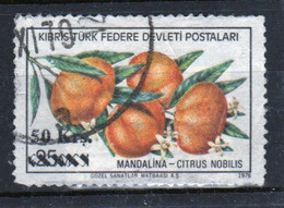 Cyprus Turkey Single 25m Stamp Issued In 1979 As Part Of The Export Products Fruit Set Overprinted With Surcharge. - Oblitérés