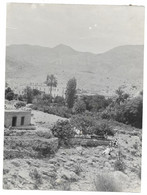 1931 EL KANTARA BISKRA (ALGERIE) - PHOTO 24*18 CM - Lugares