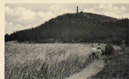 GEISINGBERG IM OST-ERZGEBIRGE-REAL PHOTO - Geising