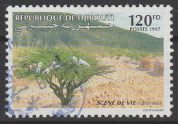 Djibouti Dschibuti 1997 Mi. 643 Obl. Scène De Vie Arbre Flora Flore RARE - Dschibuti (1977-...)