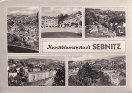 2379 - Deutschland - Sachsen , Sebnitz , Kunstblumenstadt - Gelaufen 1968 - Sebnitz