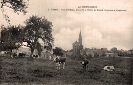 61 ATHIS Vue Générale, Prise De La Route De SAINTE-HONORINE-la-CHARDONNE - Athis De L'Orne