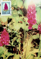 1981 Portugal (Madeira) Flores Regionais Da Madeira - Cartes-maximum (CM)