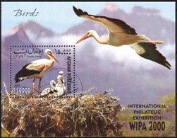 {AF003} Afghanistan 2000 Birds Stork S/S Used / CTO - Afghanistan